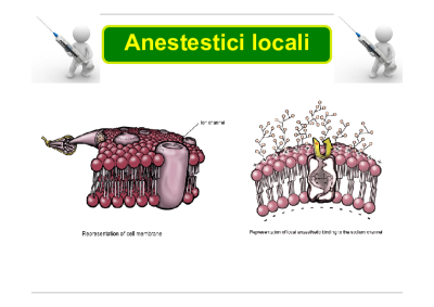Lezione anestetici locali5